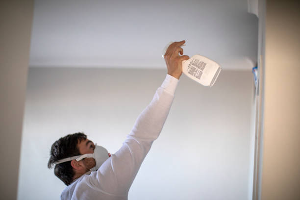 Best Residential Mold Remediation in Tylertown, MS